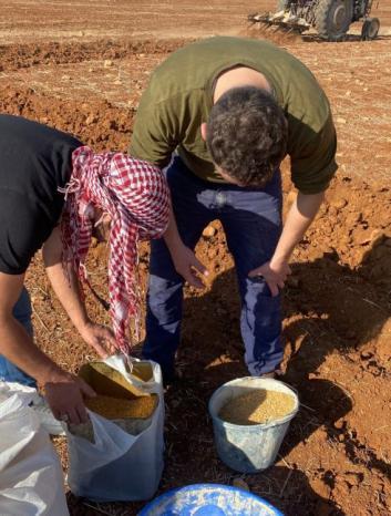 تعاونية شبابية