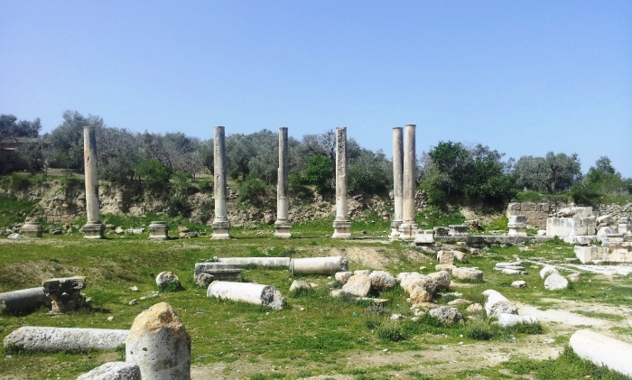 الاعمدة الرومانية