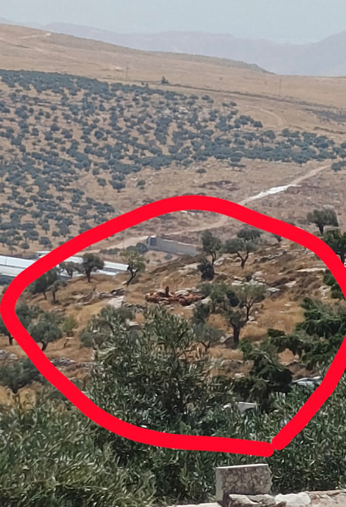 اعتداءات المستوطنين في الطيبة