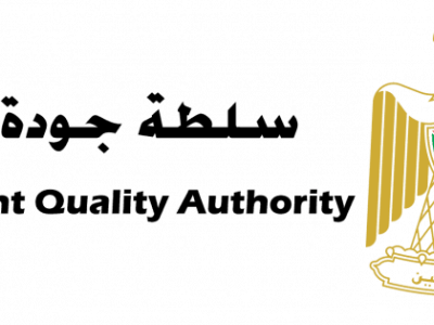 السلطة
