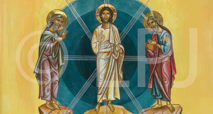 البطريركية اللاتينية