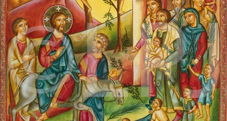 البطريركية اللاتينية